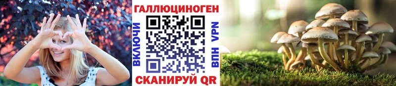 Купить  Багратионовск  Псилоцибиновые грибы Psilocybine cubensis 